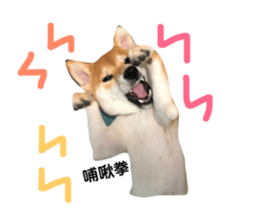 96939231