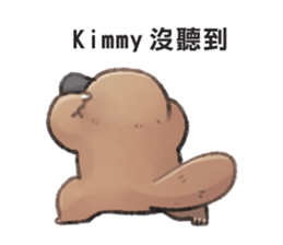 96997764