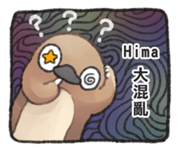 97051099