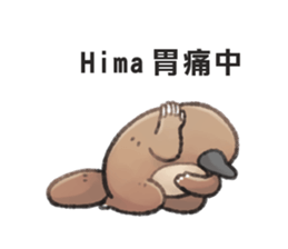 97051117