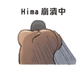 97051119