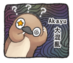 97058013