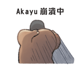 97058023
