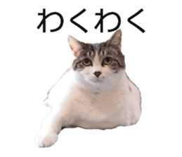 97067900