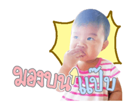 97068636
