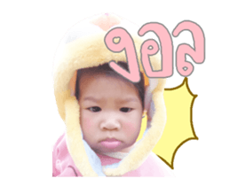 97068645