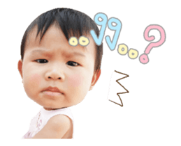 97068648