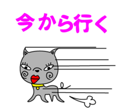9707643