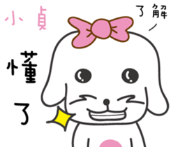 97077045