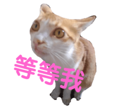 97112291