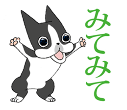 9727798