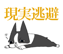 9727811