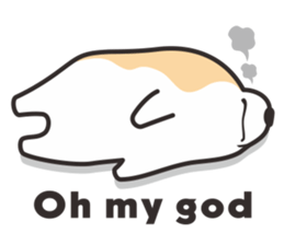 973564