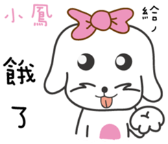 97381192