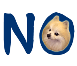 9745534