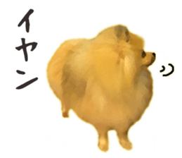 9745536