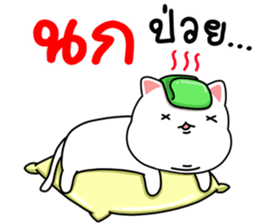 97460546