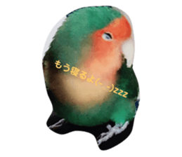 97510872