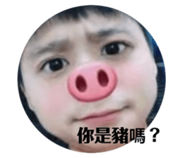 97582503