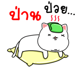 97591026