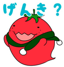 97679039