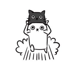 9785314