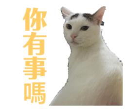 97889177
