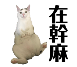 97889197