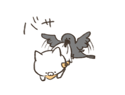 97958524
