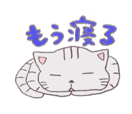 9797176