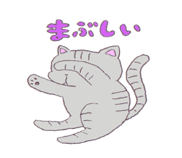 9797180