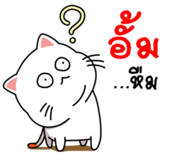 98007380