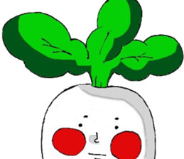 9802349