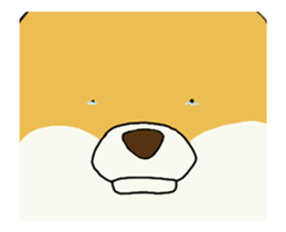 98027136