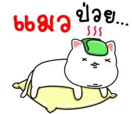 98029658