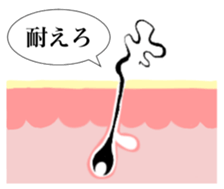 98035342
