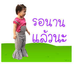 98040294
