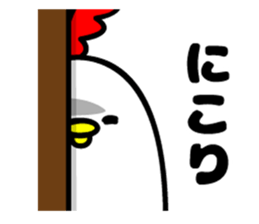9804194