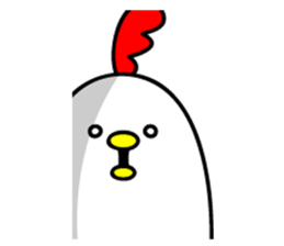 9804215