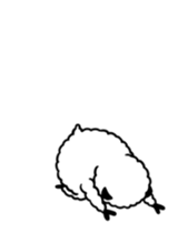 98047851