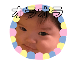 98052953