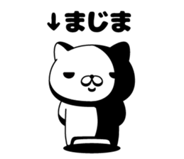 98054037
