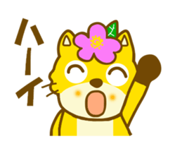9808885
