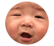 98147426