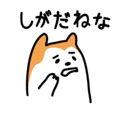 982443