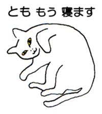 98430428