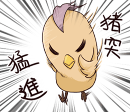 9852916