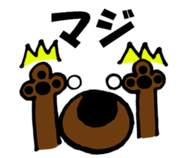 9855877
