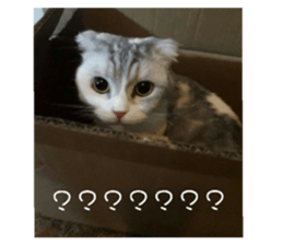 98578031