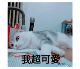 98578037